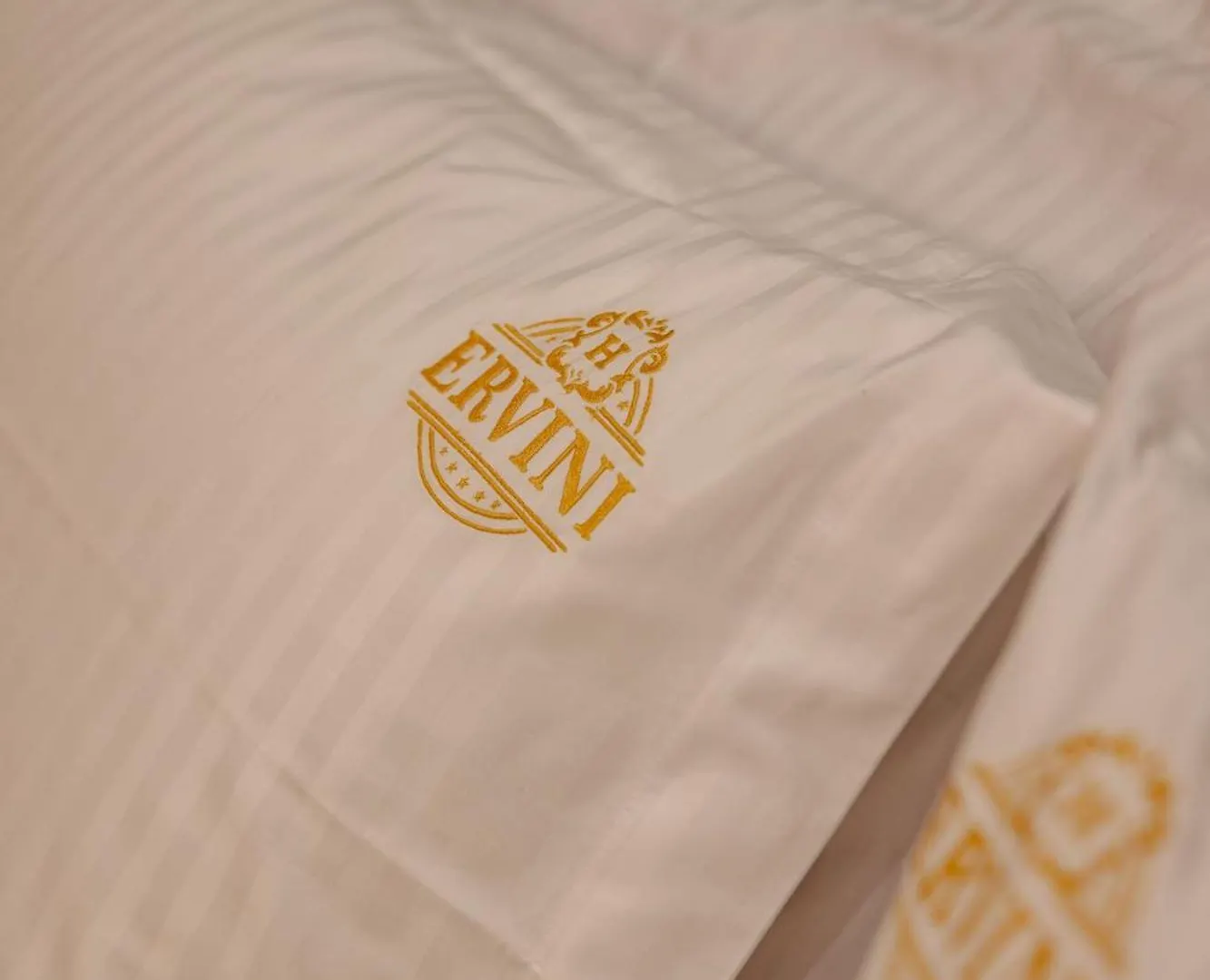 Ervini Boutique Hotel شكودر 4*,  ألبانيا